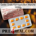 Gelée Orale Kamagra Bon Marché 100Mg new13